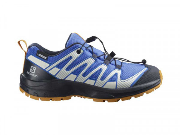 Salomon Buben Outdoorschuh XA Pro blau/Gore-Tex